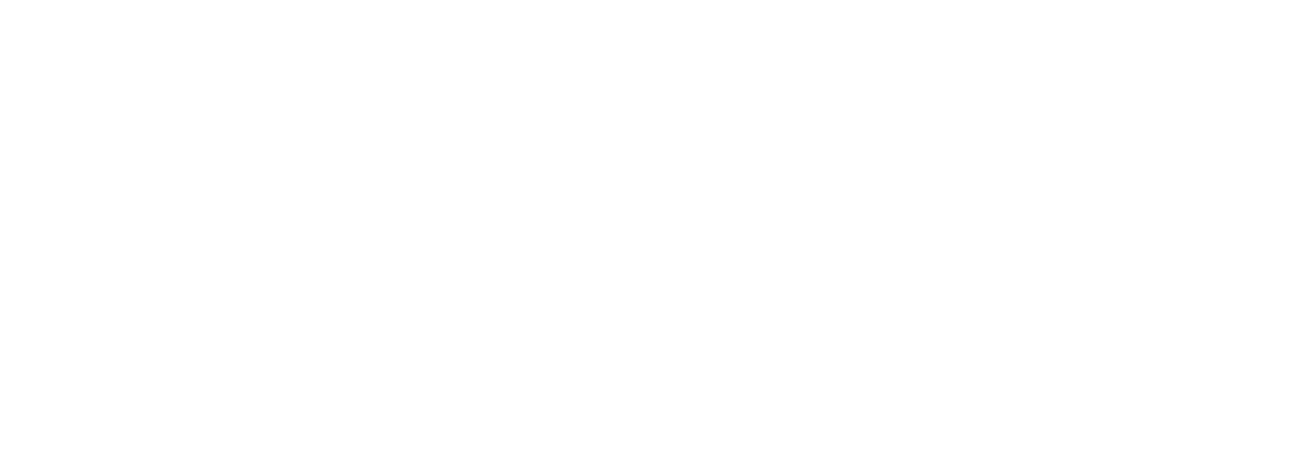 Elite Expert Cleaners